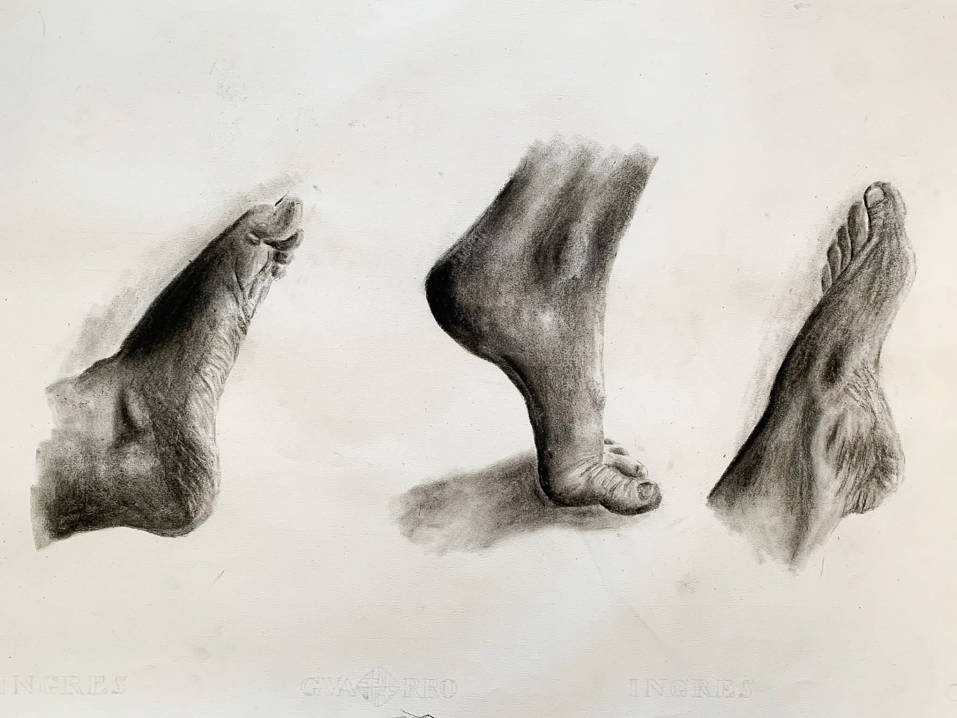 Pies carbón 50x70cm